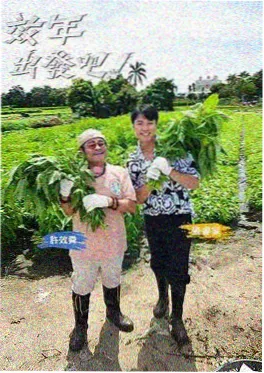 披荆斩棘的哥哥3